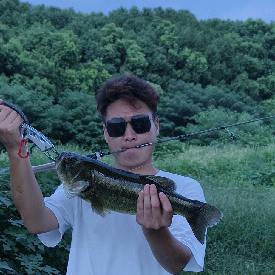 𝑳𝒖𝒓𝒆· ACE