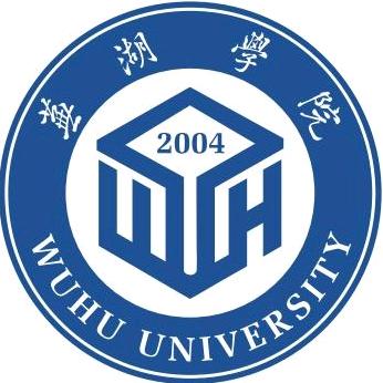 芜湖学院（原皖江学院）