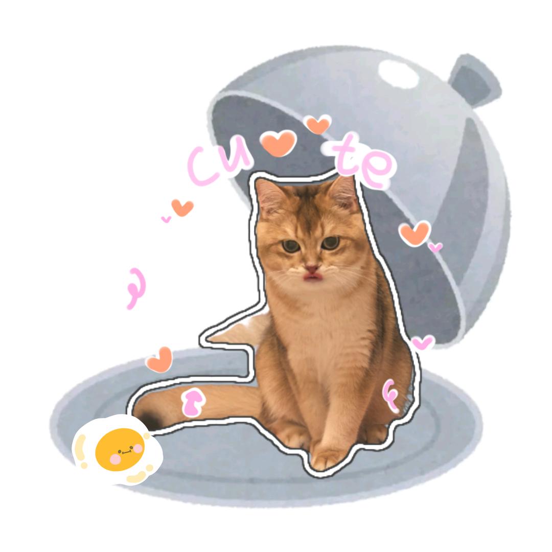 🌈喵九不是猫九ง⍢⃝ ᐝ