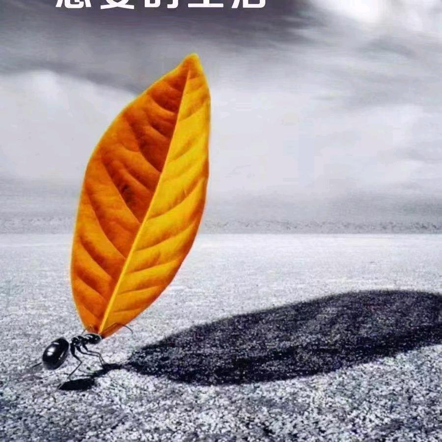错落
