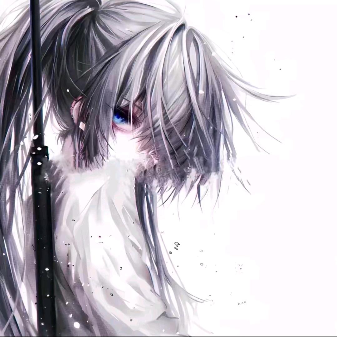 槿篱花筏