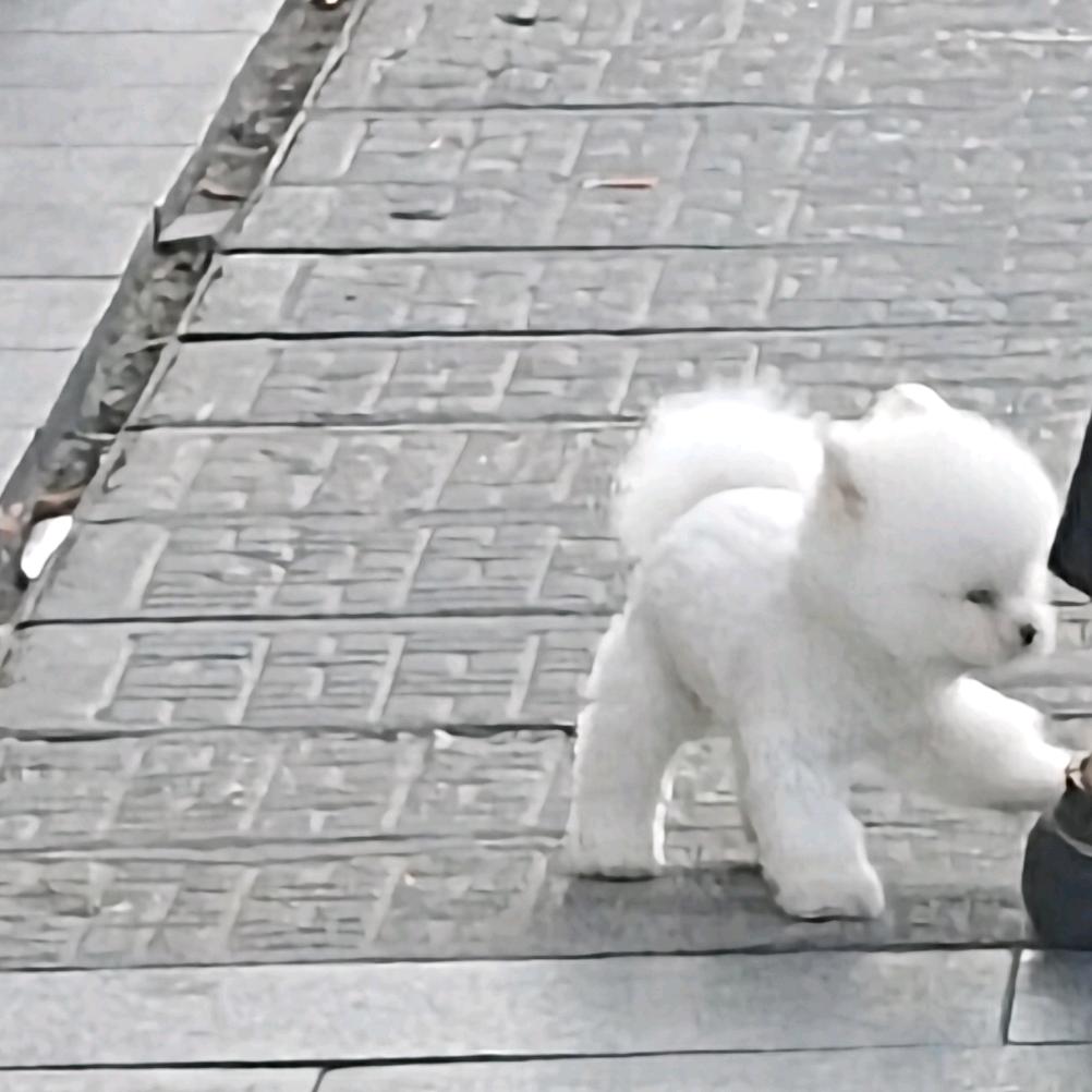 新剑侠情缘九尘