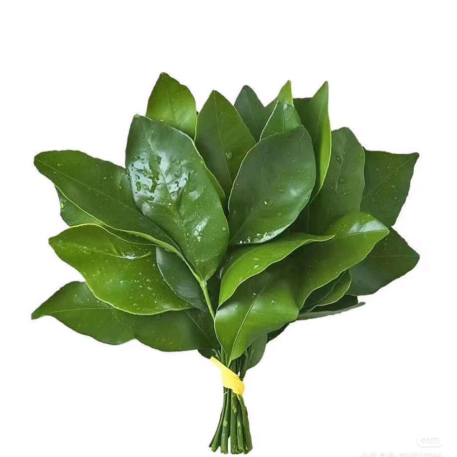 开心荷包蛋.