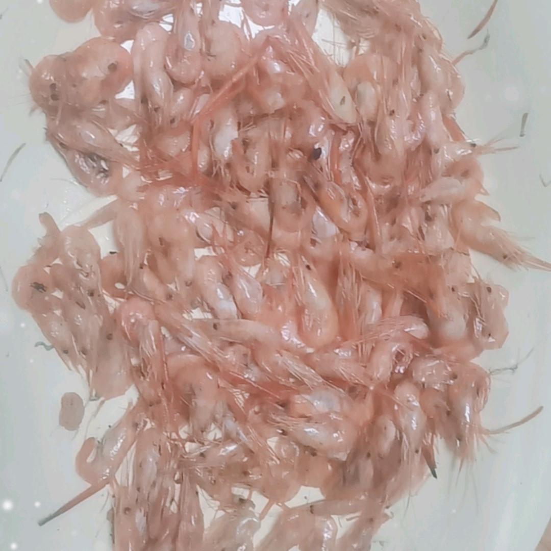 广东啊样狗