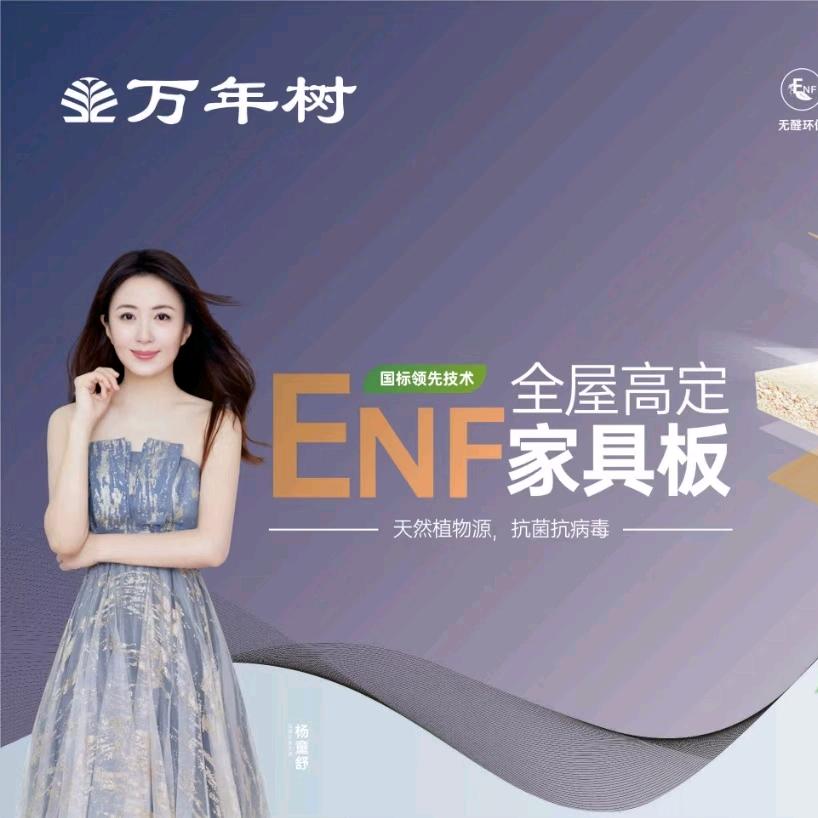 万年树板材（四川成都仓）