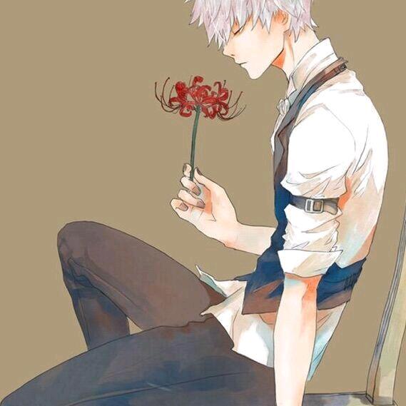 杰娃子的梦想碎片