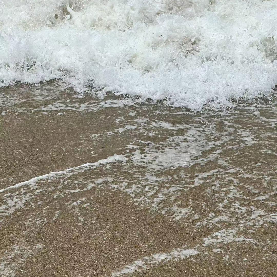 西王玉米胚芽油