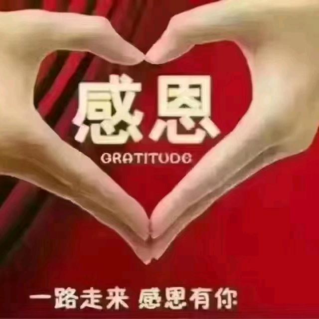 淇歌
