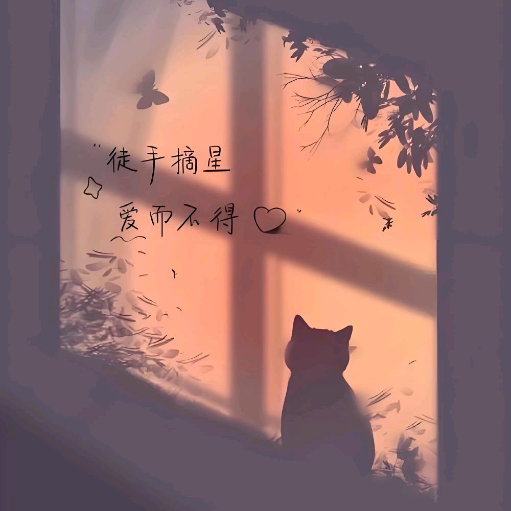 哈哈，好搞笑。
