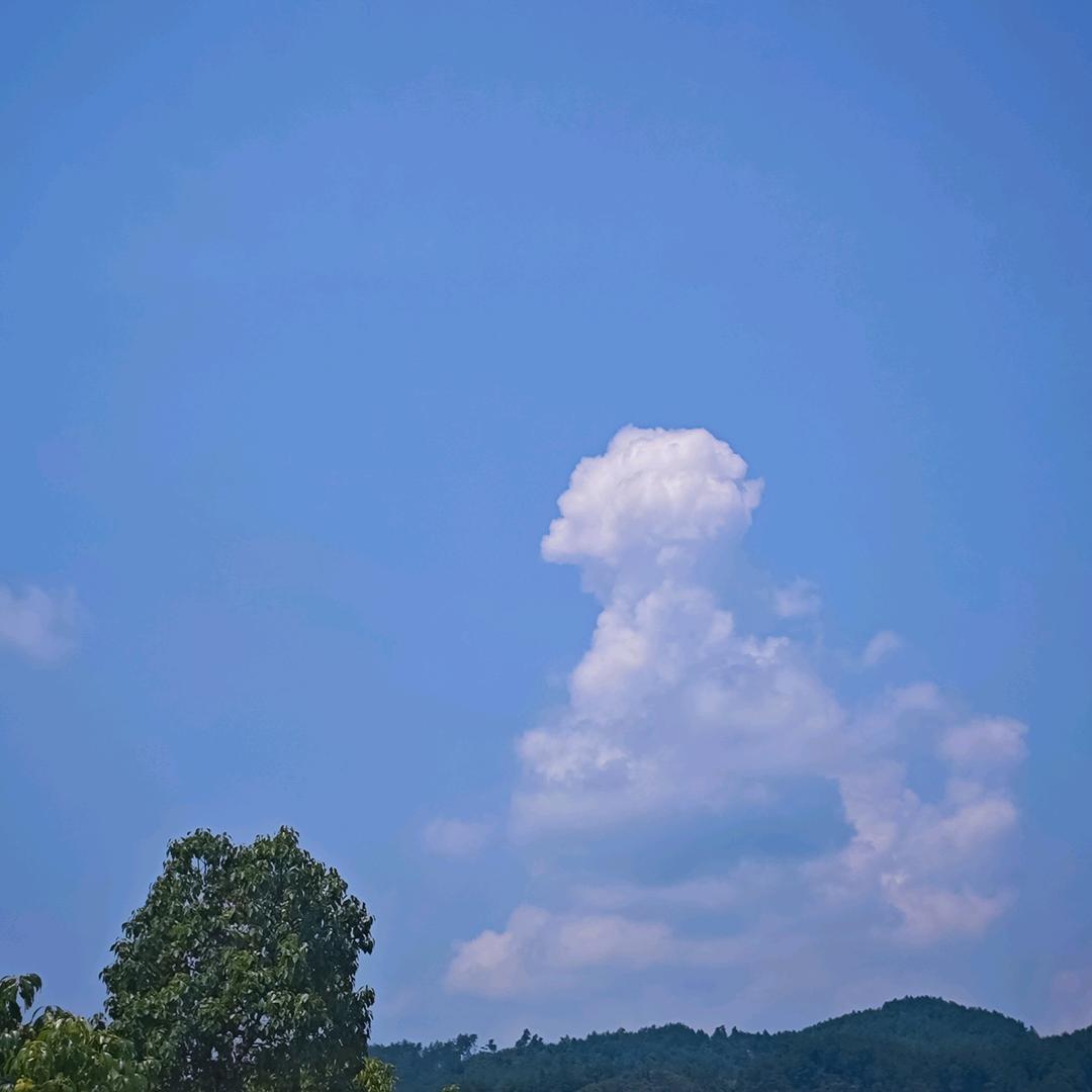 方柒梗