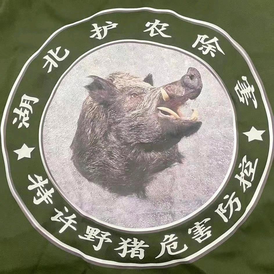 小逗比马匹出租