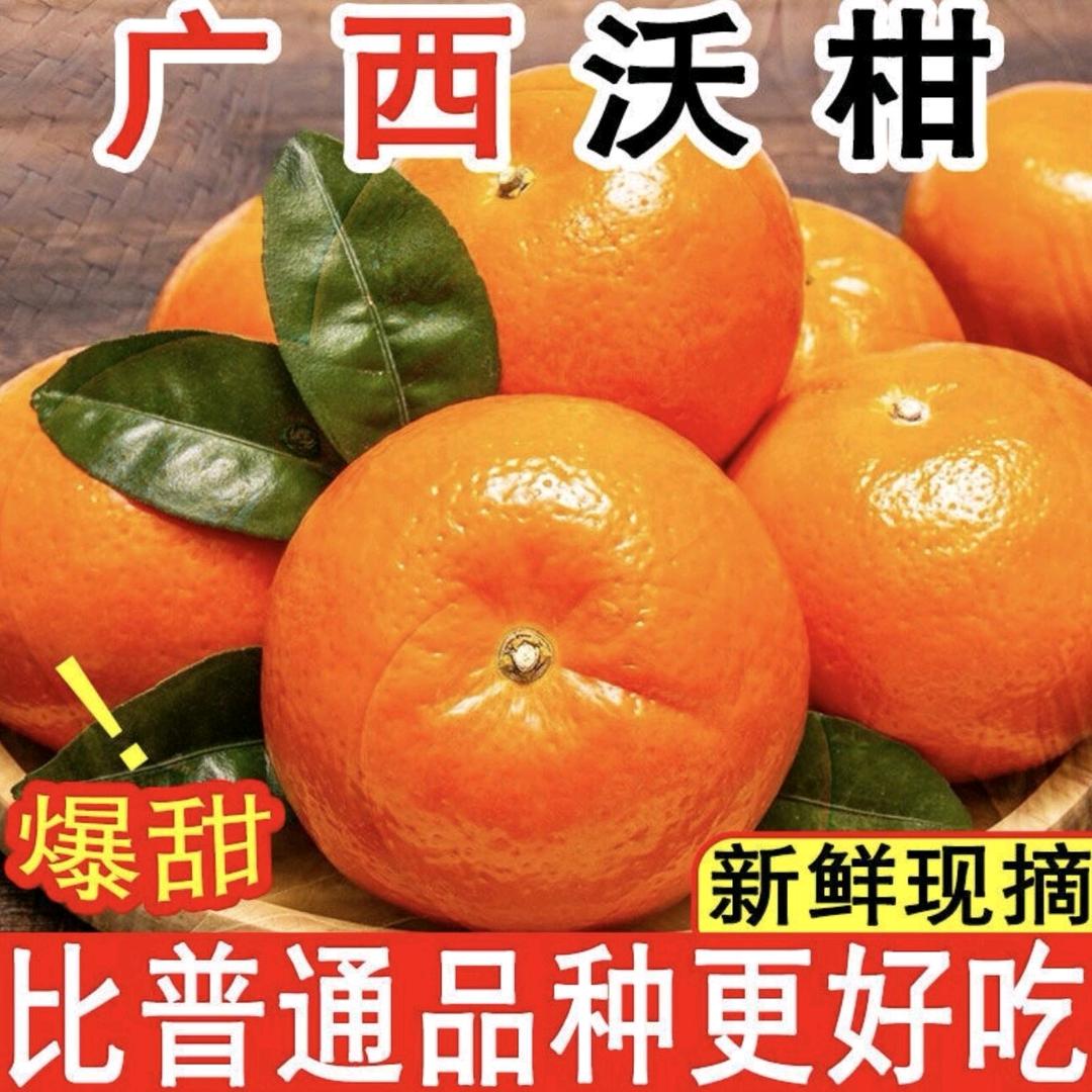 八桂果侠