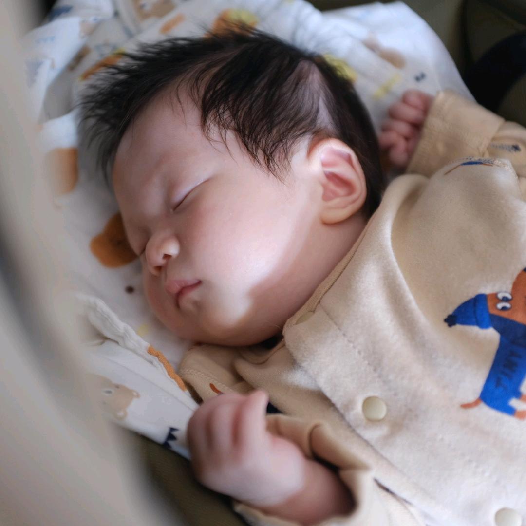 不吃兔子的胡萝卜