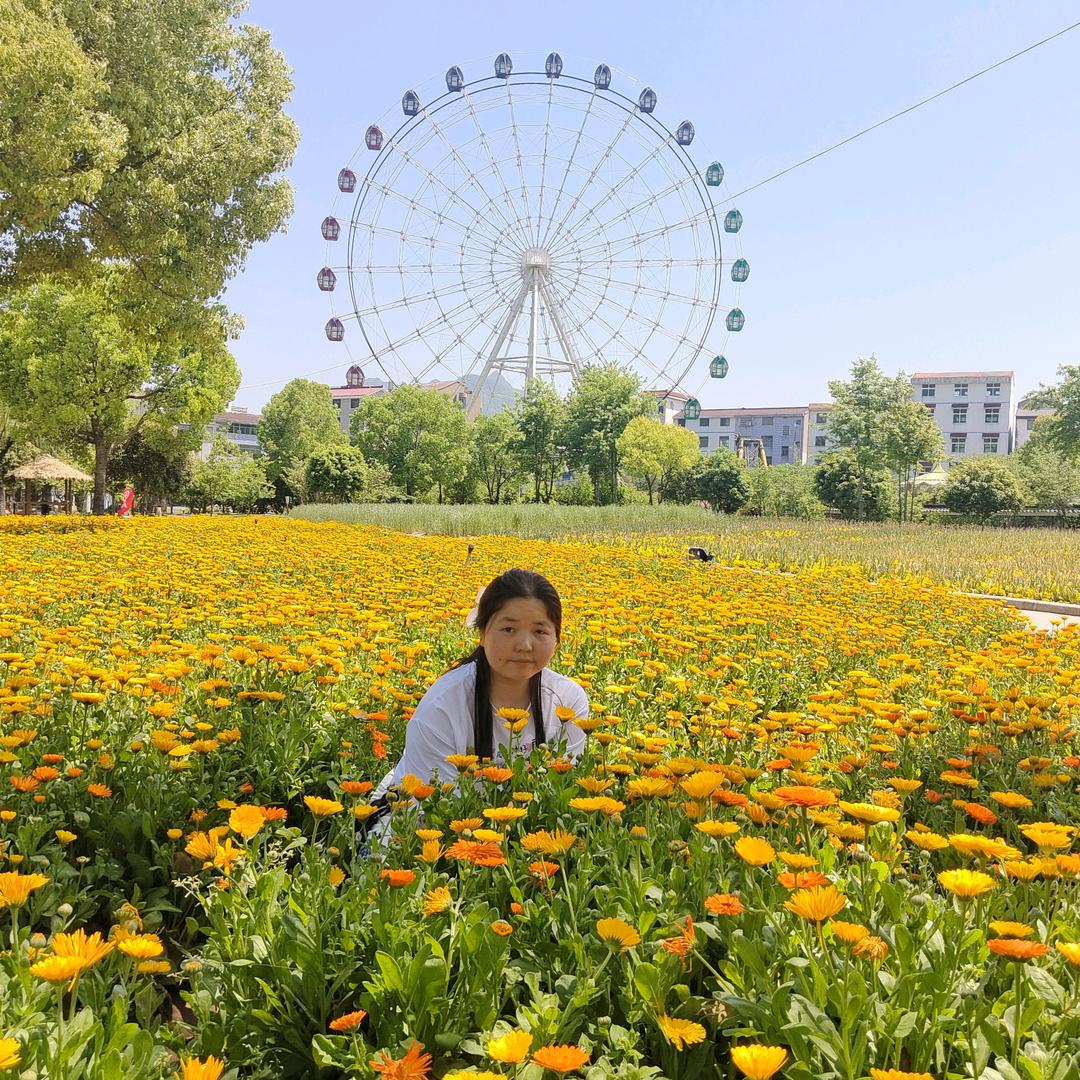丹桂飘香