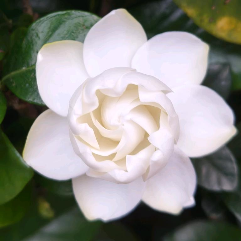 ღQₒ吖:ᨶ႒ᩚ頭ᵥ