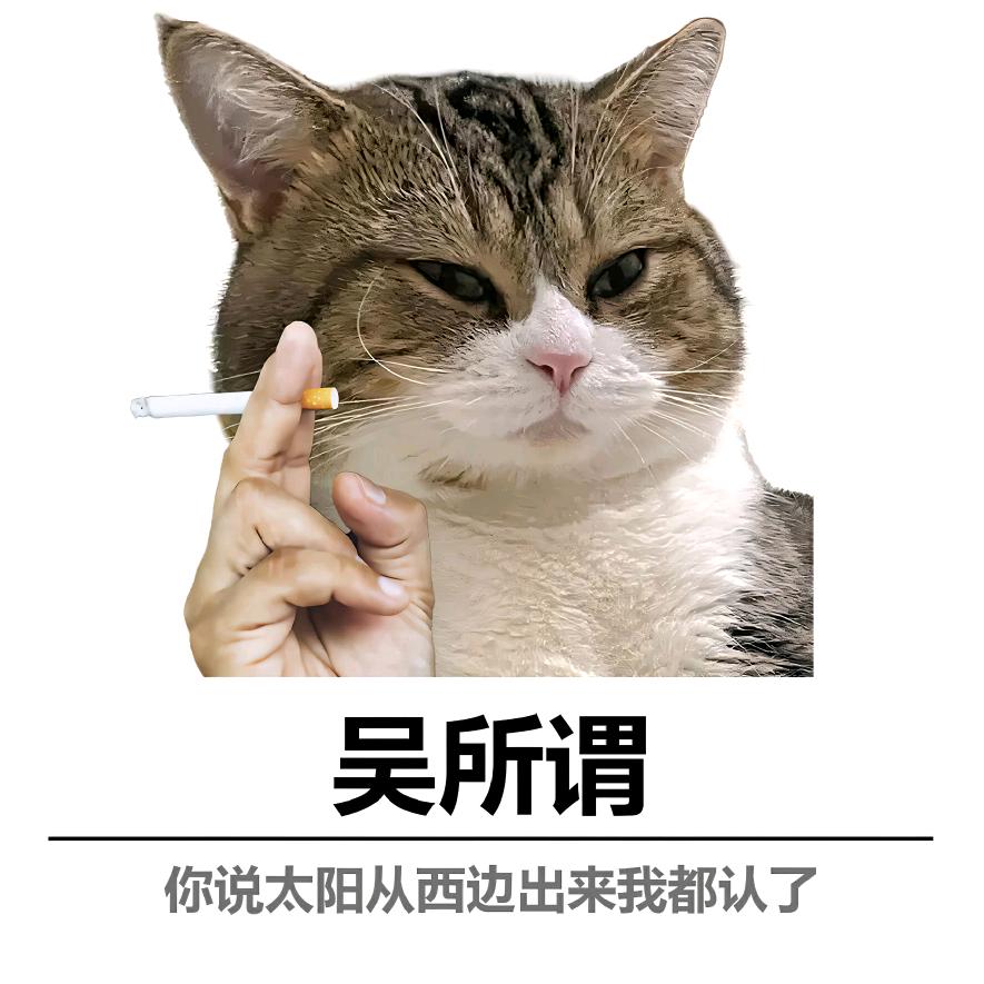 🇨🇳  Peng . W