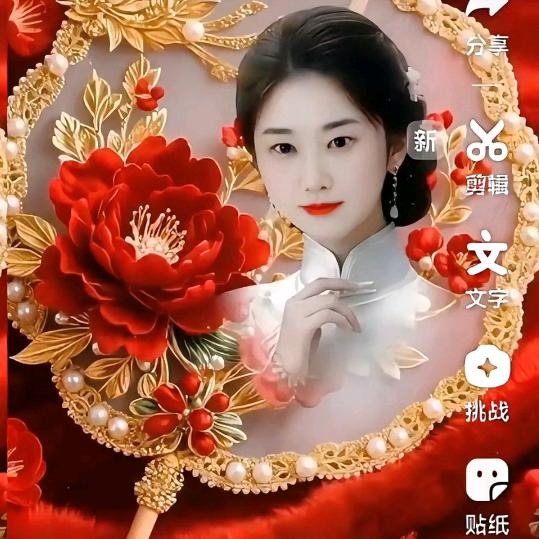 双鹰