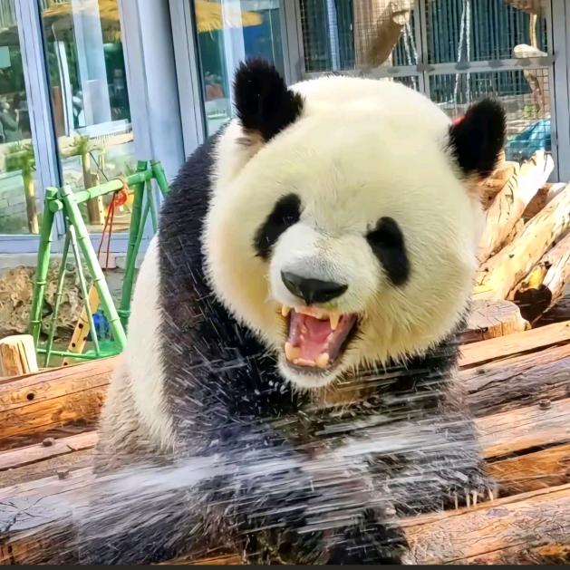 我爱学习学习爱我