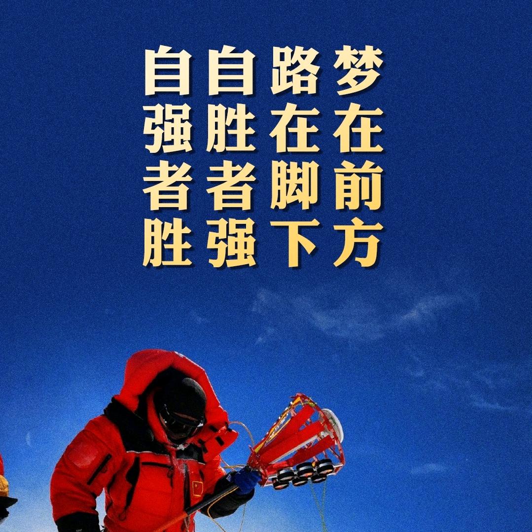 鲨鱼