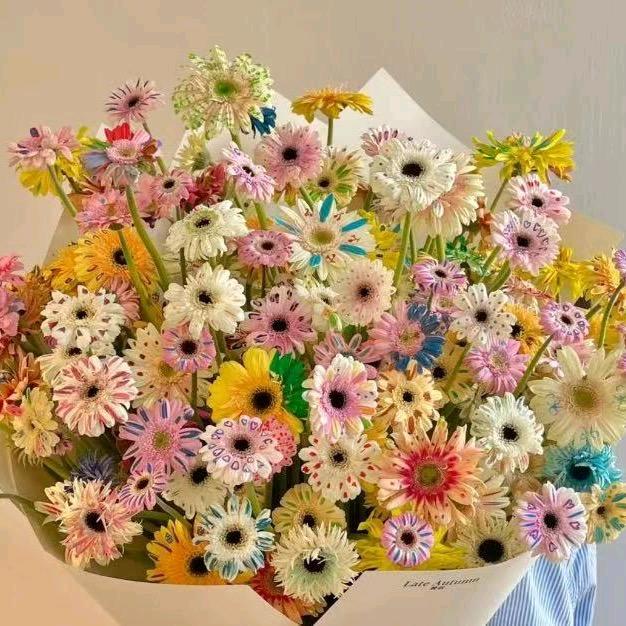 花时光-每日鲜花速达