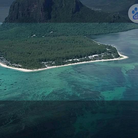 人累心更累，累了谁知道