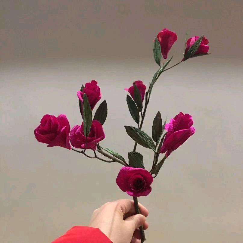易落蕾