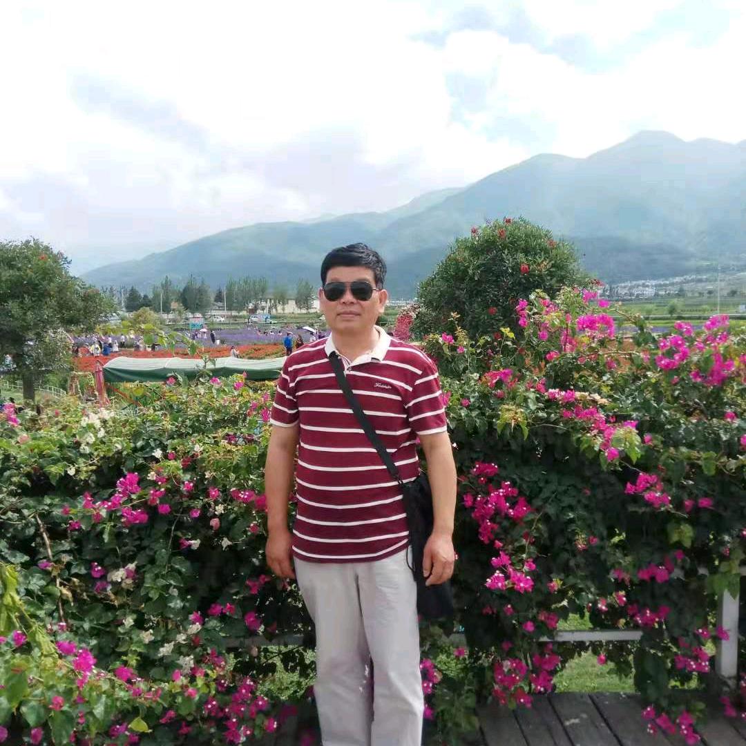 陈善新