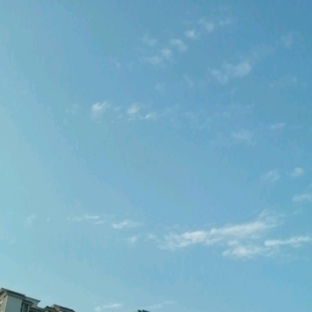 友善佳音