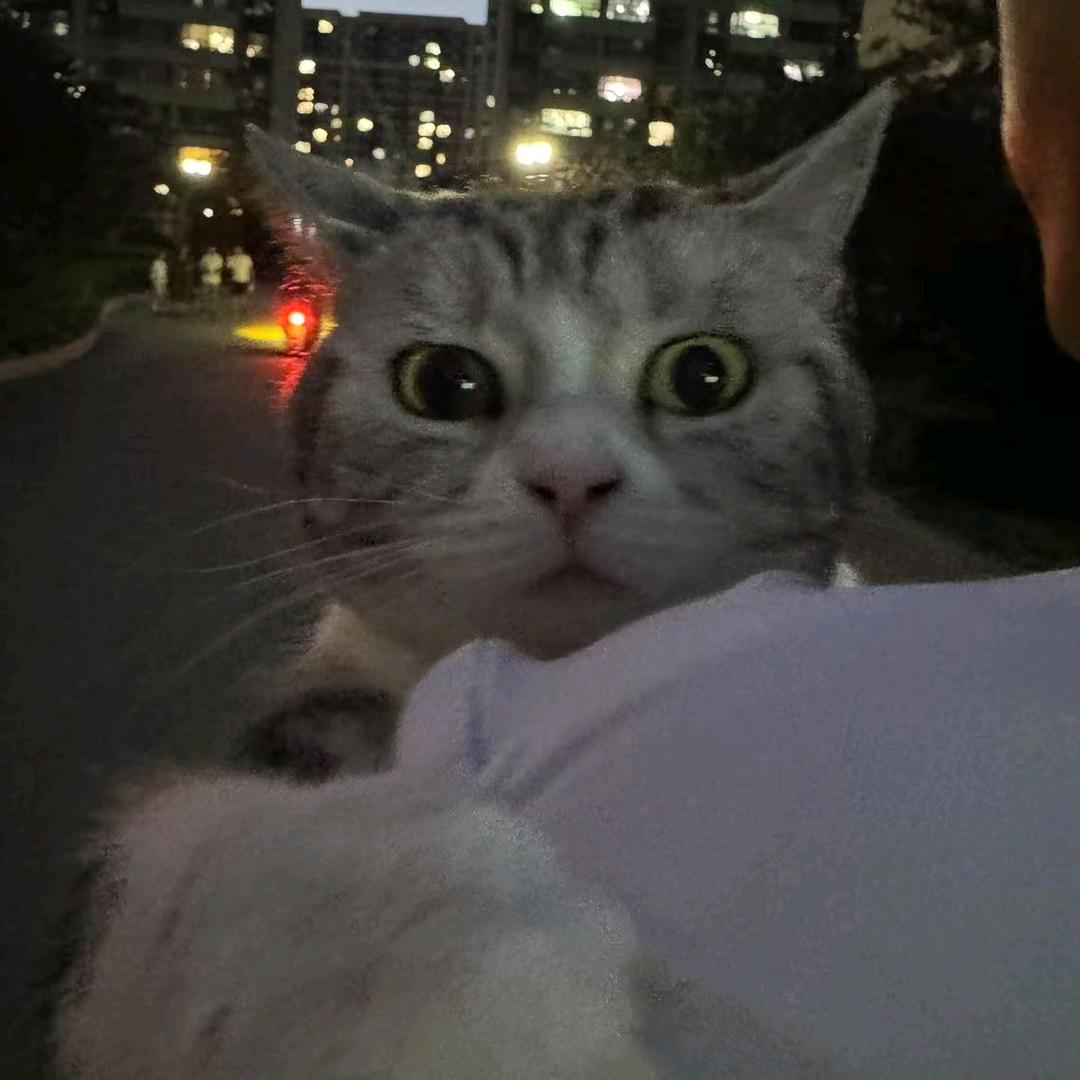 坚持党的领导🇨🇳