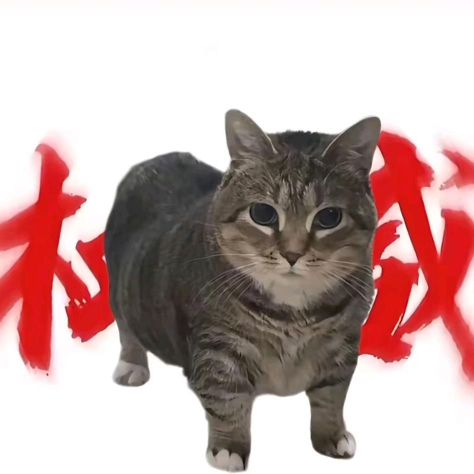 ❌涪江🌵🍀