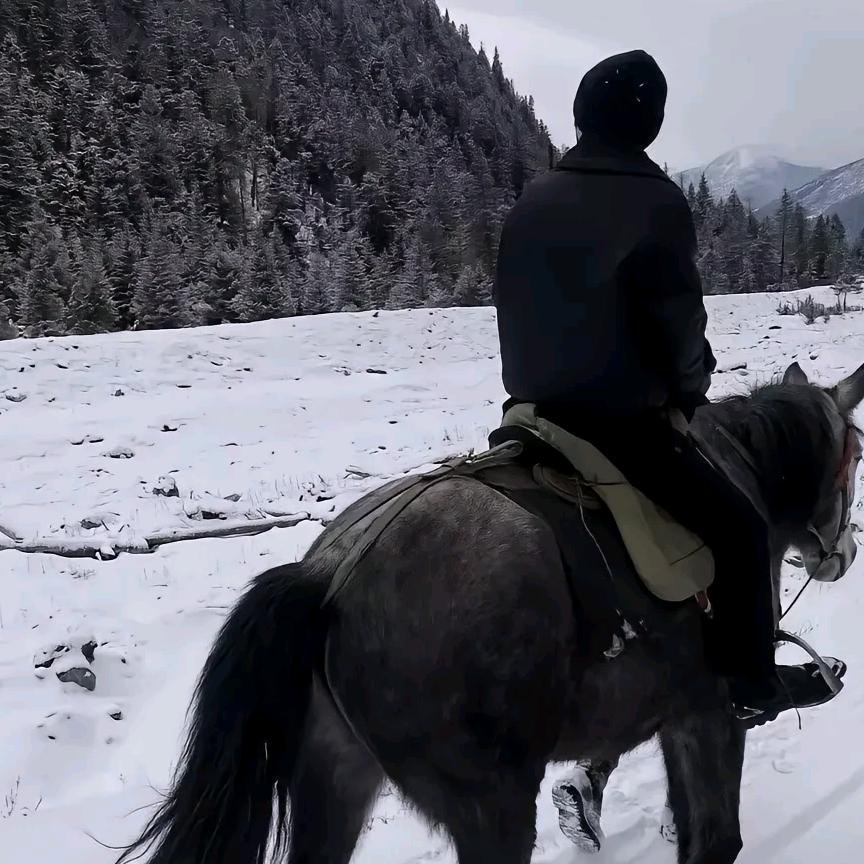 中亚商旅·柯俐斯张