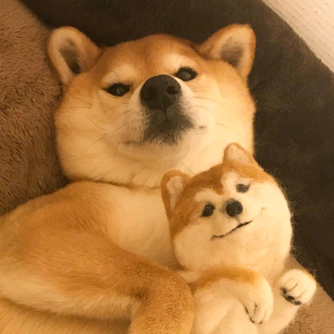 猛踹瘸子那条好腿