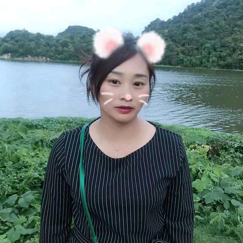 云宝