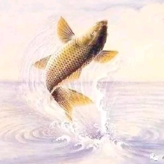 独🎣寒江雪