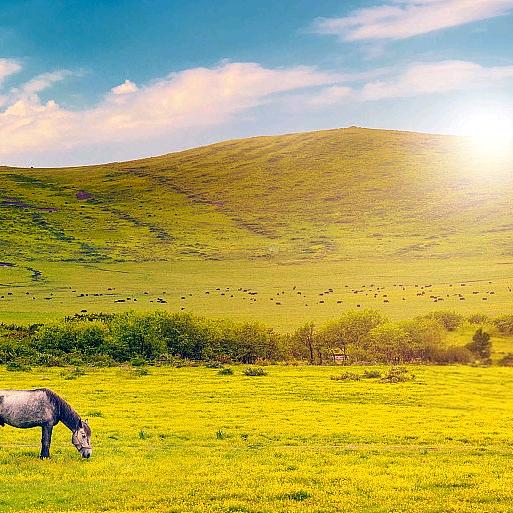 泉来QL（李昱森）