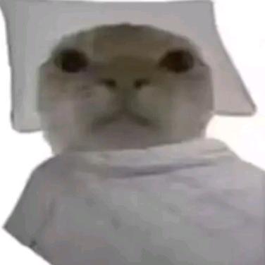 胜春朝.