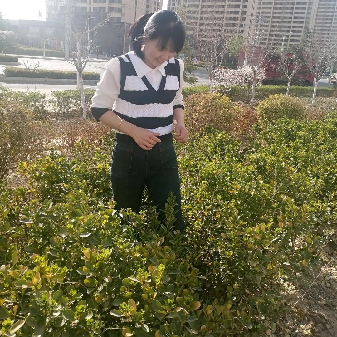 桥南溢香菜面馆