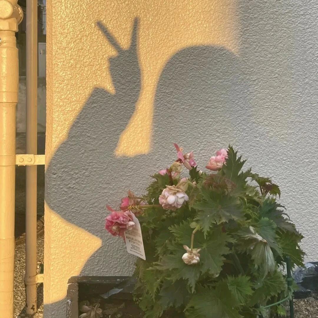 三宝啊❤