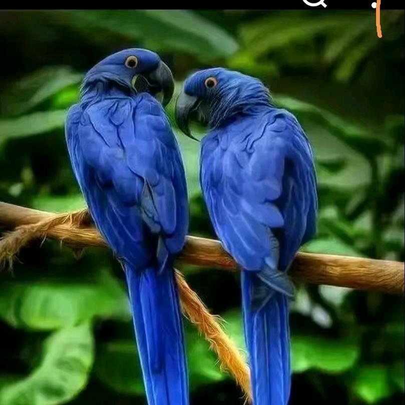 滑州文艺歌友会