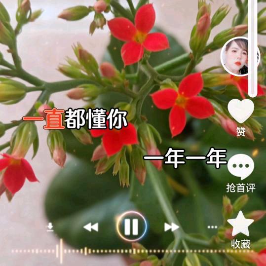 人生感悟，