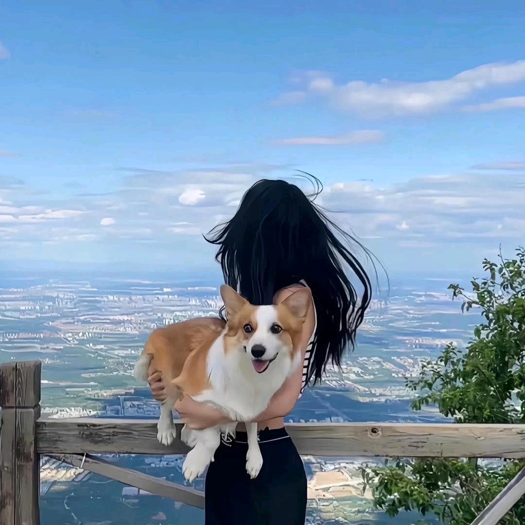 晚晚好物