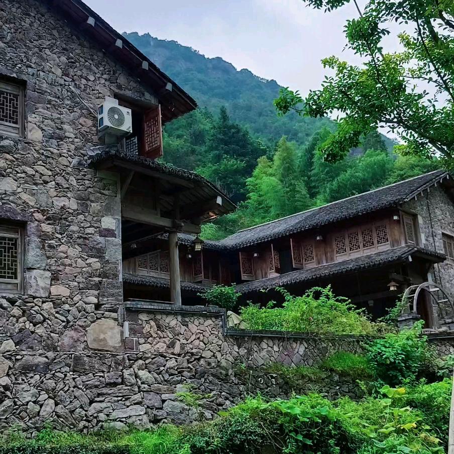 清风微扬