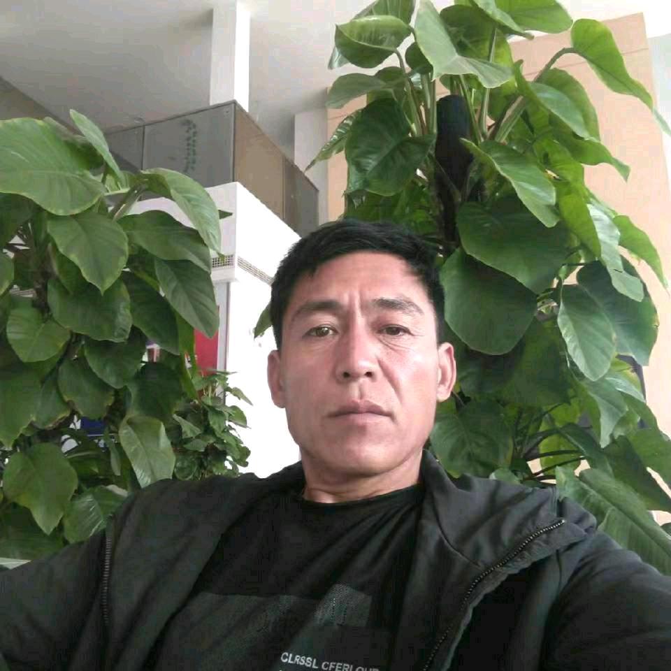 愿天下好人一生平安，留《刘》恋黄金