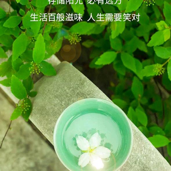 榕花树