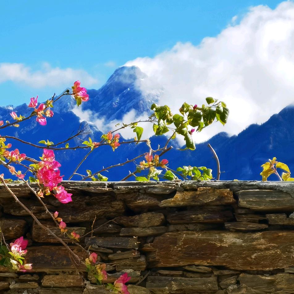 最美的风景在路上