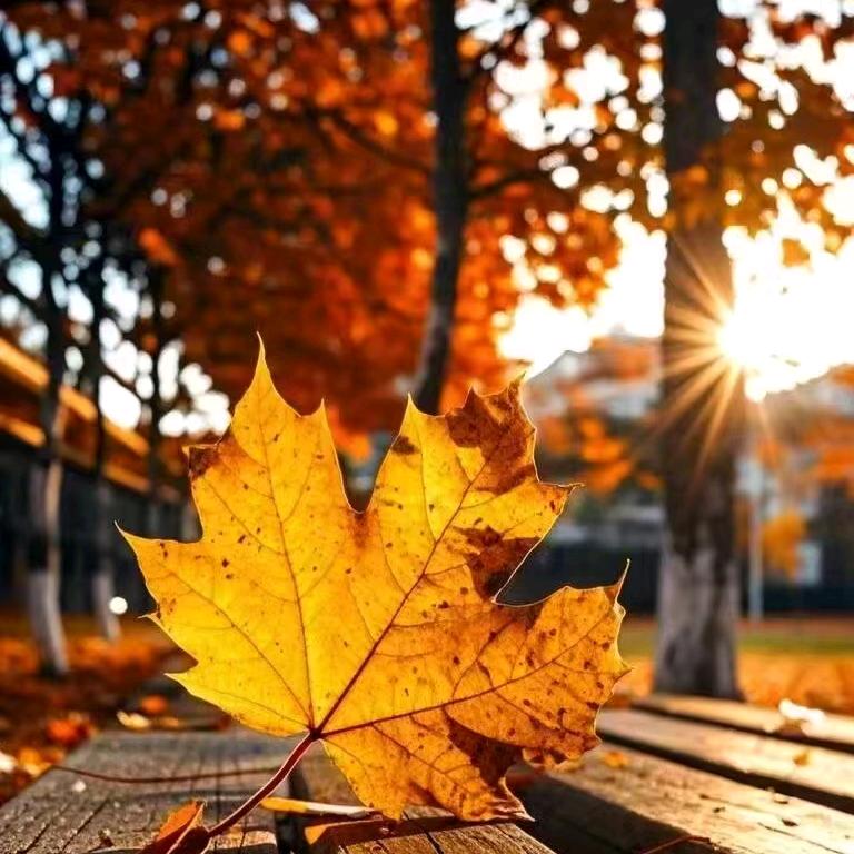 ✨💫 心沉大海✨