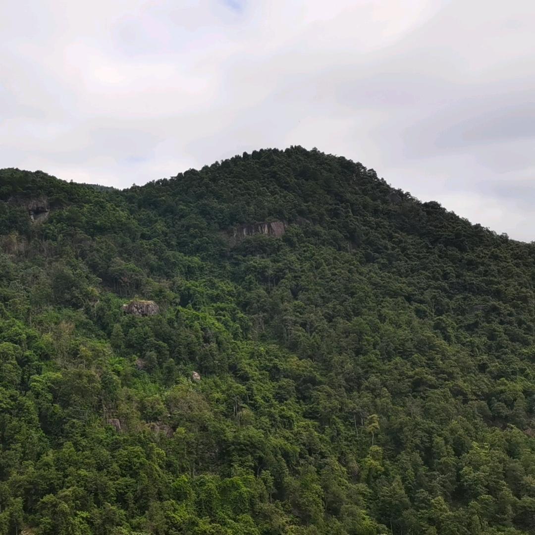 山恒