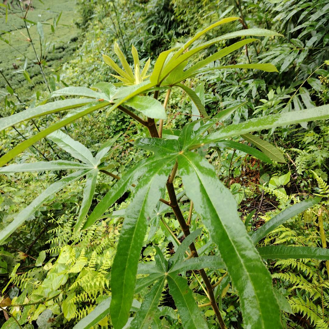 舍得有舍有得不舍不得