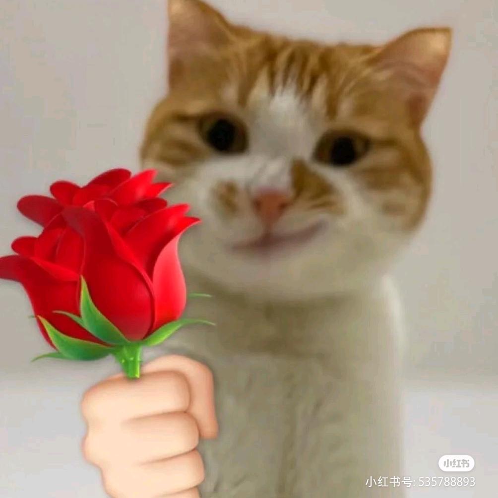 今天不会吉他🎸