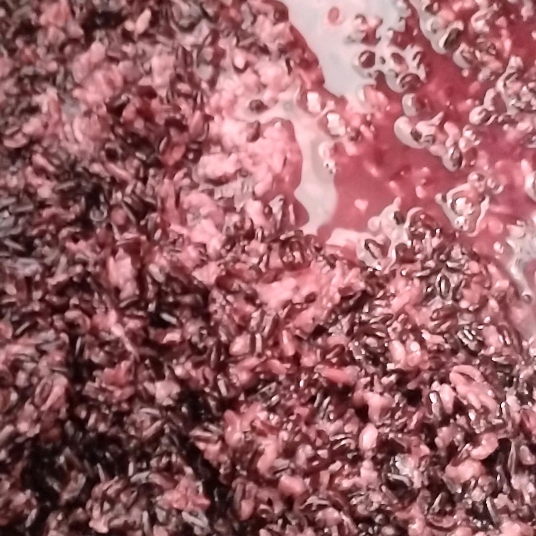 甜甜的酒阿姨（收徒弟）